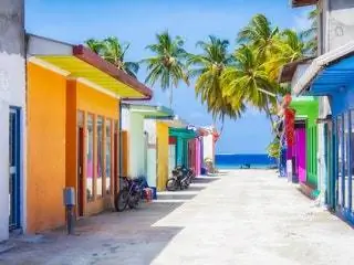 Изображение может содержать Summer Wheel Machine Tropical и Path
