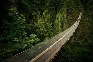 Ванкуверский парк, Британская Колумбия, парк Capilano Suspension Bridge Park