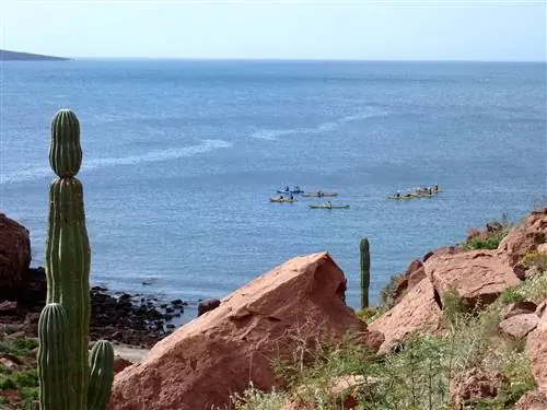 UnCruise Каякинг