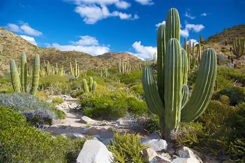 Пешие прогулки без круиза