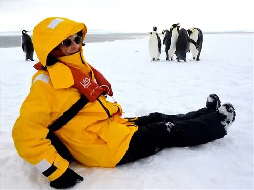 На изображении может находиться животное птица пингвин одежда одежда солнцезащитные очки аксессуары аксессуар человек и пальто