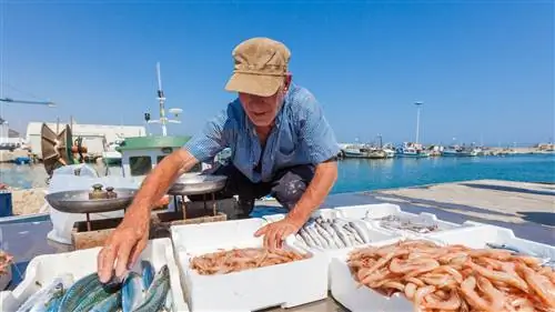 11 стран с самой высокой продолжительностью жизни