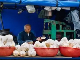 Изображение может содержать растения и продукты питания человека