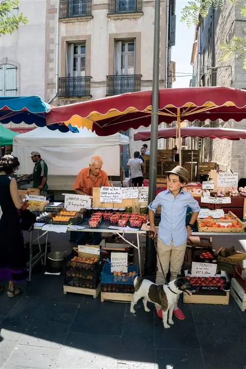 На изображении может находиться человек Рынок животных Млекопитающее Домашнее животное Собачий базар и магазин