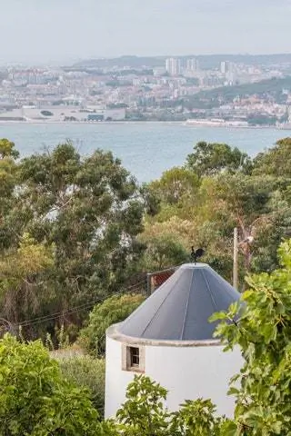 На изображении может находиться на улице архитектура крыши купол здания растительность палатка и дерево