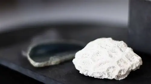 Как украсить свой дом сувенирами из путешествий