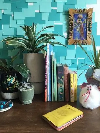 На изображении может находиться мебель книга стол растение книжный шкаф животное кошка млекопитающее и домашнее животное