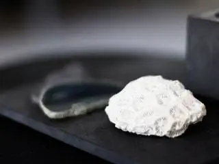 На этом изображении могут находиться кондитерские изделия, еда, сладости, крем, крем, десерт и хлеб.