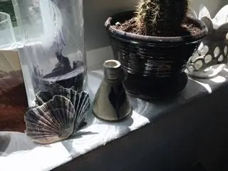 На изображении может находиться растительное стекло и кубок