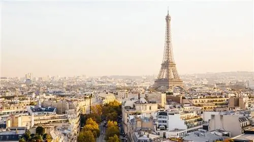 French Bee запускает дешевые рейсы в Париж из Лос-Анджелеса в этом месяце