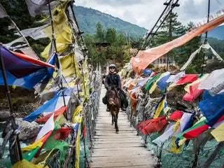 На изображении может находиться человек животное млекопитающее лошадь одежда и одежда для верховой езды