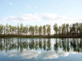 На изображении может находиться вода природа на улице земля дерево растение озеро пихта и пихта