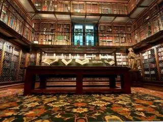 На этом изображении может находиться комната в помещении, книга, библиотека, мебель, дизайн интерьера, книжный шкаф и ковер.