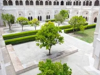 На изображении может находиться Flagstone Outdoors Architecture Building Plant Tree City Urban Town Downtown and Vegetation