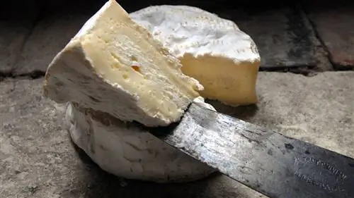 Лучшие сырные магазины в Париже