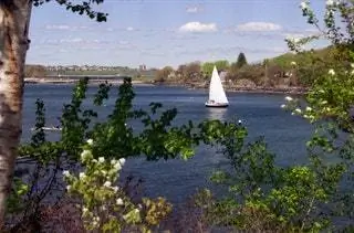 парусная лодка. вода. деревья