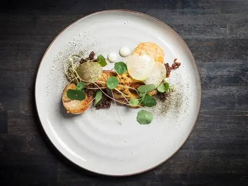 Пикантная свиная грудинка и гребешок в The Duck Inn