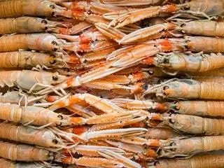 На изображении могут находиться морепродукты Food Animal and Sea Life