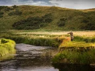 На изображении может находиться Вода Природа На улице Земля Человек Болото Marsh and Swamp