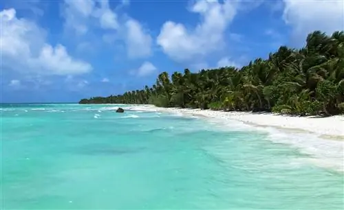 На изображении может находиться Земля на улице Природа Береговая линия Вода Море Океан побережье Остров и пляж