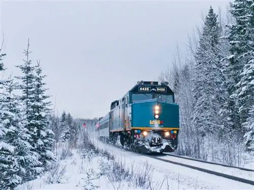 На изображении может находиться транспорт транспортное средство поезд локомотив дерево завод поезд рельс железная дорога на открытом воздухе и природа