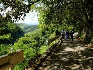 На изображении может находиться человек на улице природа сад беседка пейзаж здание тропинка и мост