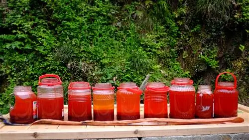 Обучение айдзоме, искусству окрашивания индиго, в Японии