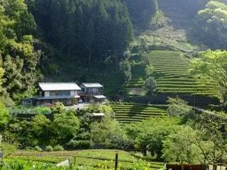 На изображении может находиться на улице природа пейзажи растительность сельская местность сельский пейзаж и земля