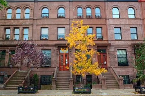 Рядные дома Гарлема осенью Нью-Йорк Нью-Йорк США