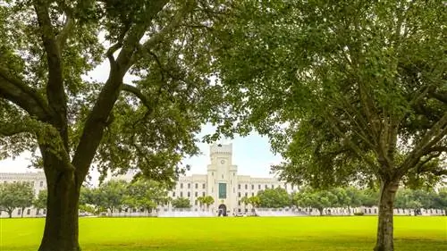 6 выдающихся туров по истории чернокожих в США, от Калифорнии до Чарльстона