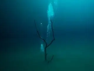 На изображении может находиться вода на улице природа приключения активный отдых и подводный мир