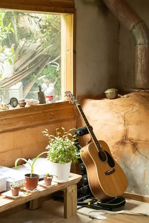 интерьер. гитара. растения. окно