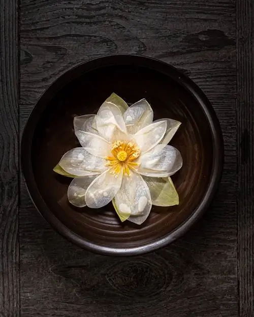 Чай из цветка лотоса в черной кружке на черном столе. выстрел сверху