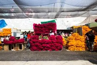 цветочный рынок. красные и оранжевые цветы