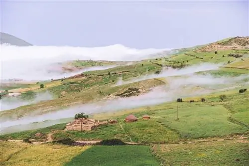 Туманный пейзаж. Зеленые горы.