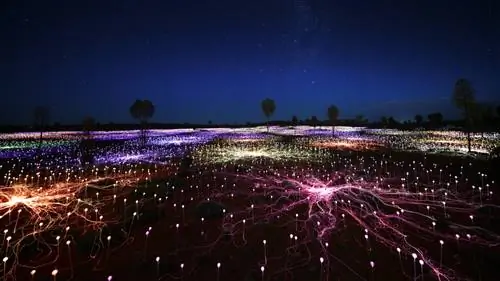 Уникальные возможности наблюдения за звездами в Белизе, Южной Африке и других странах