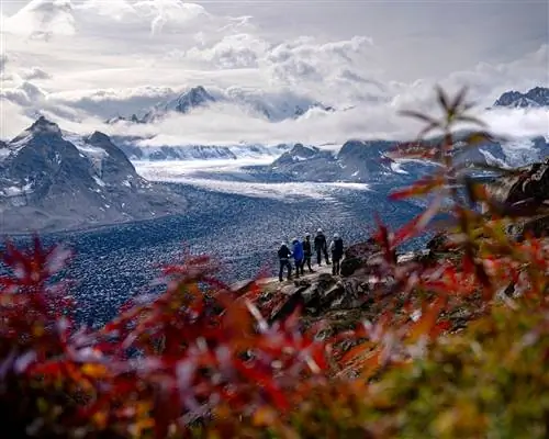 Гора на открытом воздухе Природа Лед Человек Снег Ледник Растение и лист