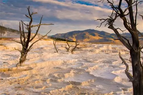 вид на Мамонтовые горячие источники с голыми деревьями на закате