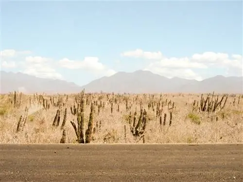 Живописный вид на горы против SkyTodos Santos