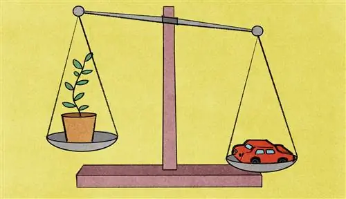 Сознательный Путешественник Иллюстрации Шкала Справедливости