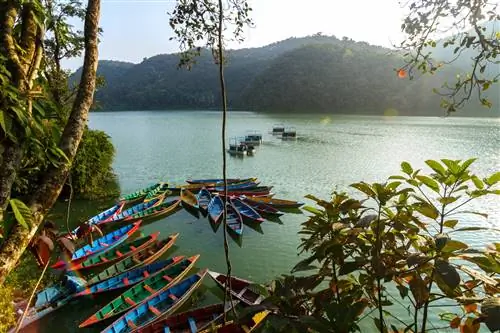 Красочные каноэ на рассвете на озере Фева в Покхаре, Непал