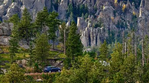 4-дневное путешествие по паркам Южной Дакоты, наполненным дикой природой и памятниками