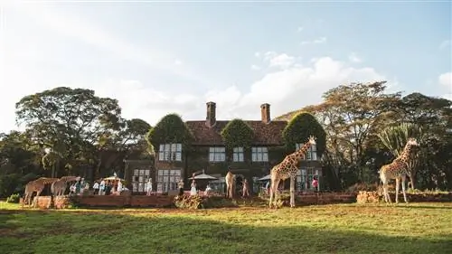 В этих неожиданных местах Кении встречаются встречи с дикой природой без толпы