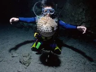 На изображении может находиться вода человек шлем одежда одежда на открытом воздухе дайвинг дайвер спорт спорт и животные