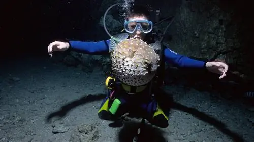 10 поездок для любящих приключения семей