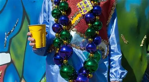 Фотографии: Каково это - вечеринка с Марди Гра Креве