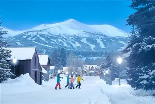 лыжники ходят в лыжный городок с лыжами. снег. ночь. уличный фонарь.