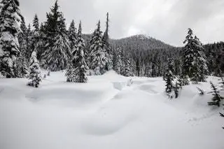 Британская Колумбия Ванкувер Тур Тур на снегоступах Cypress Mountain