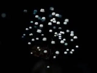 Это изображение может содержать пузырь