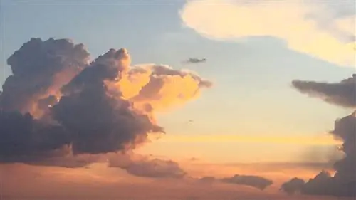 11 самых удивительных удовольствий африканского сафари